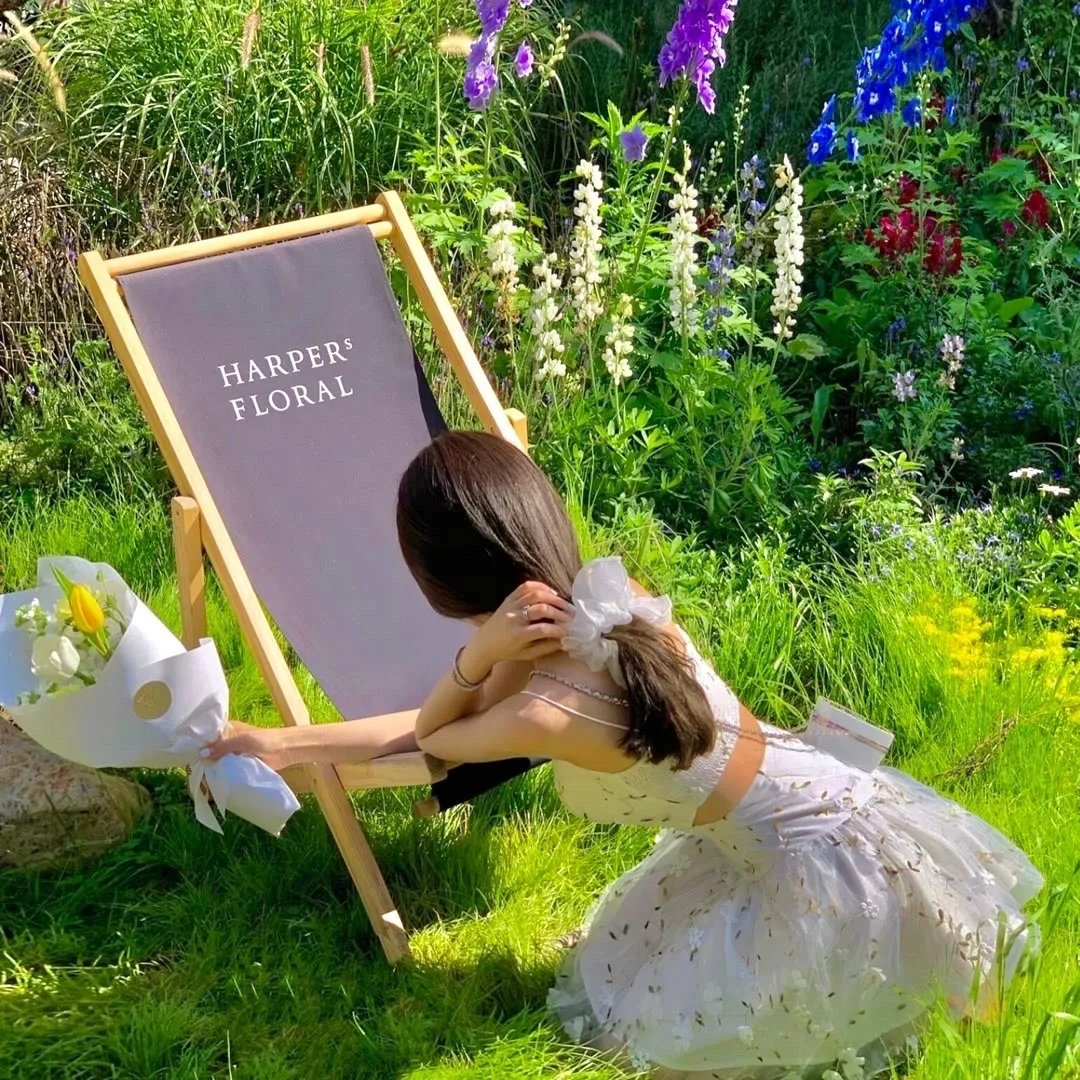 封心锁爱后开始